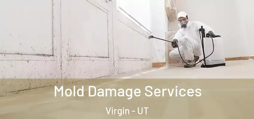 Mold Damage Services Virgin - UT