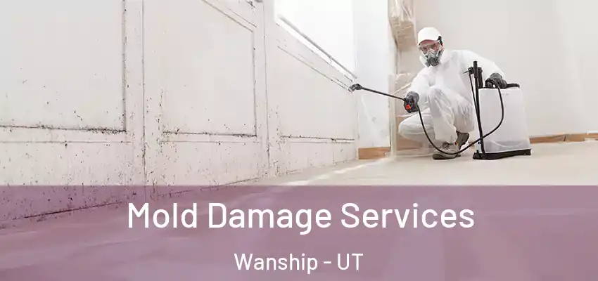  Mold Damage Services Wanship - UT