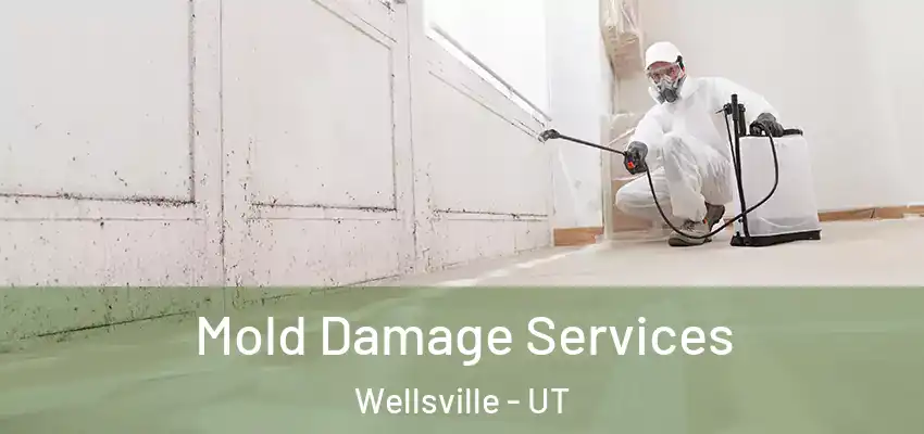  Mold Damage Services Wellsville - UT