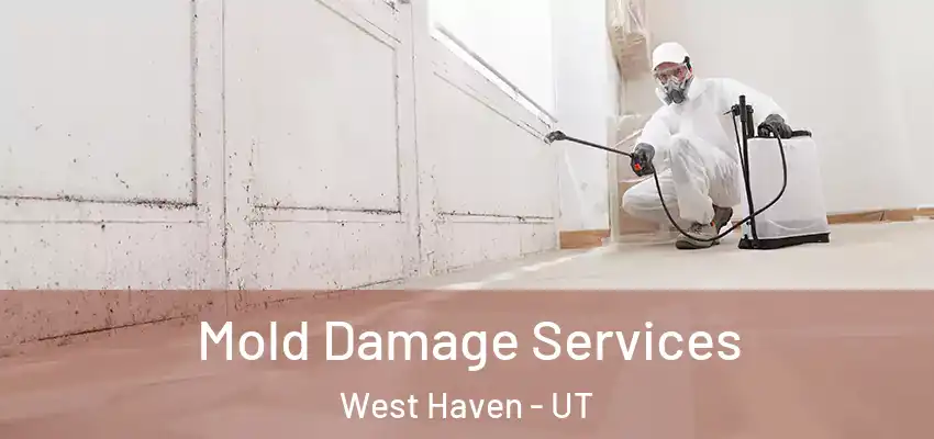  Mold Damage Services West Haven - UT