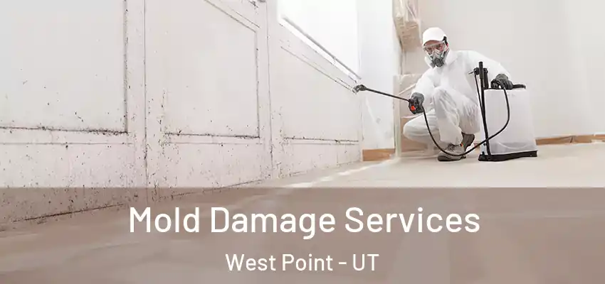  Mold Damage Services West Point - UT