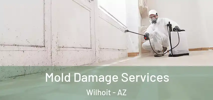 Mold Damage Services Wilhoit - AZ
