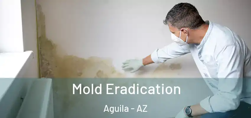  Mold Eradication Aguila - AZ