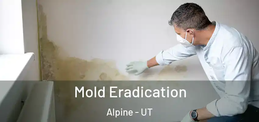  Mold Eradication Alpine - UT