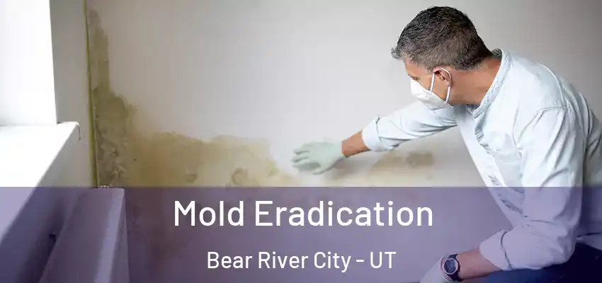  Mold Eradication Bear River City - UT