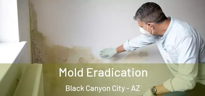  Mold Eradication Black Canyon City - AZ