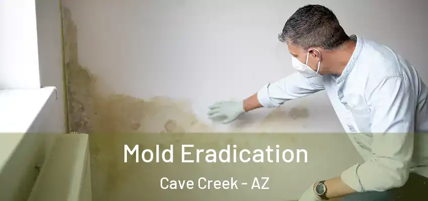  Mold Eradication Cave Creek - AZ