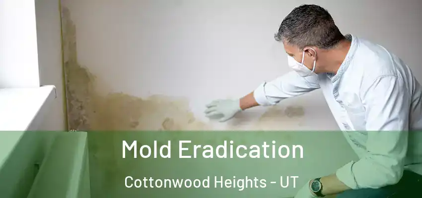  Mold Eradication Cottonwood Heights - UT