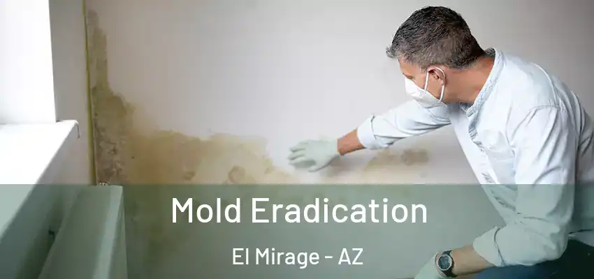  Mold Eradication El Mirage - AZ