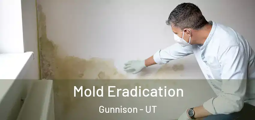 Mold Eradication Gunnison - UT