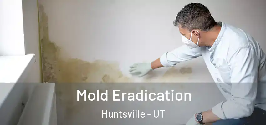  Mold Eradication Huntsville - UT