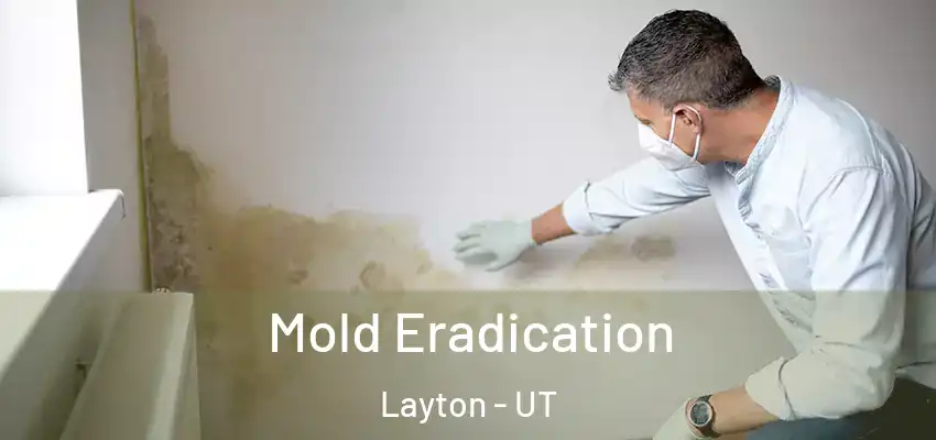  Mold Eradication Layton - UT