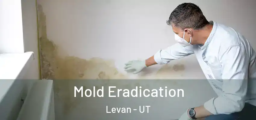 Mold Eradication Levan - UT
