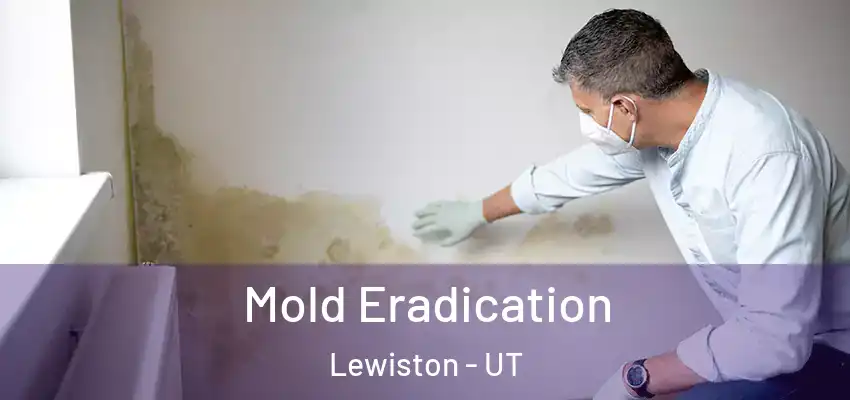  Mold Eradication Lewiston - UT