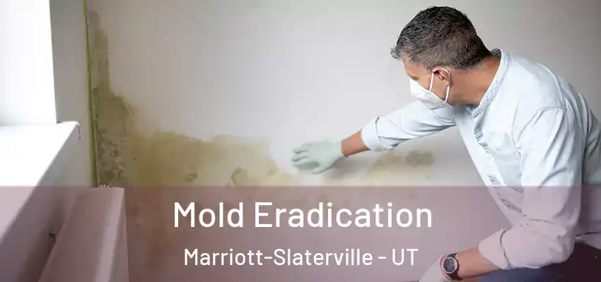  Mold Eradication Marriott-Slaterville - UT