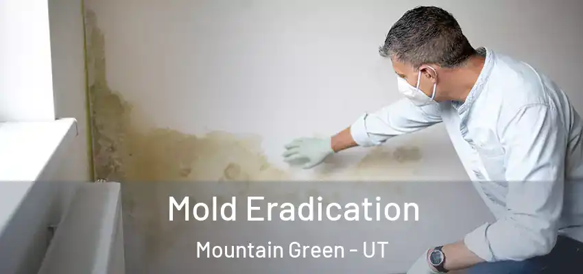  Mold Eradication Mountain Green - UT