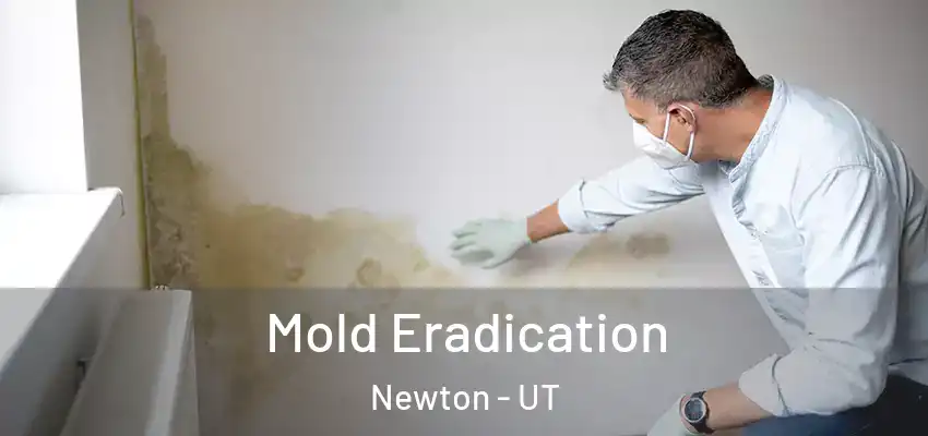  Mold Eradication Newton - UT
