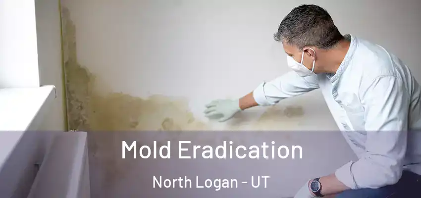 Mold Eradication North Logan - UT