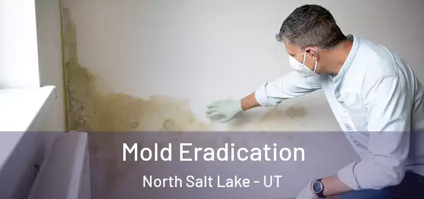  Mold Eradication North Salt Lake - UT