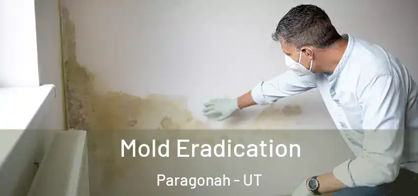 Mold Eradication Paragonah - UT