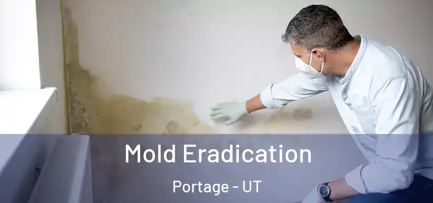  Mold Eradication Portage - UT