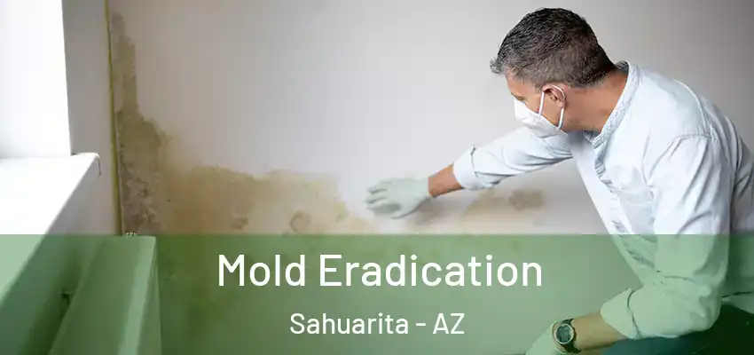  Mold Eradication Sahuarita - AZ