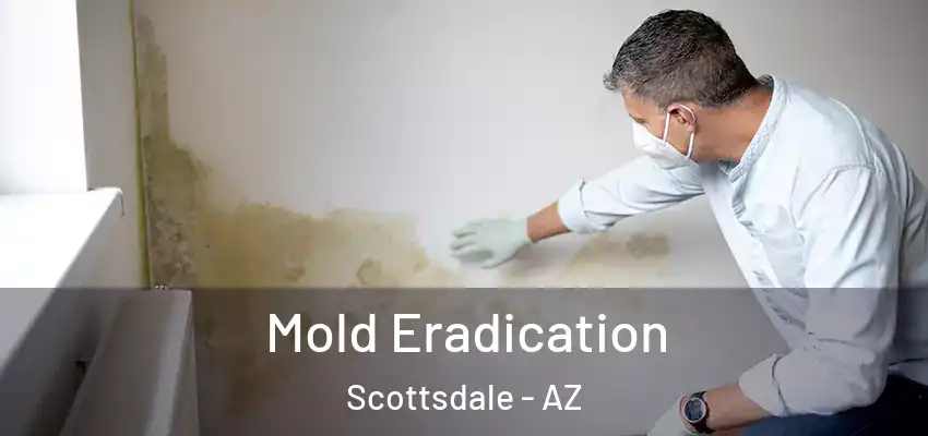  Mold Eradication Scottsdale - AZ