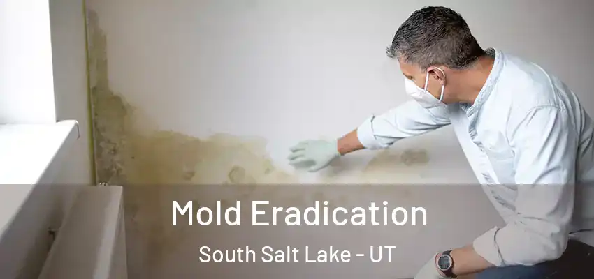  Mold Eradication South Salt Lake - UT