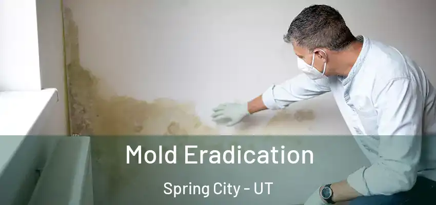  Mold Eradication Spring City - UT