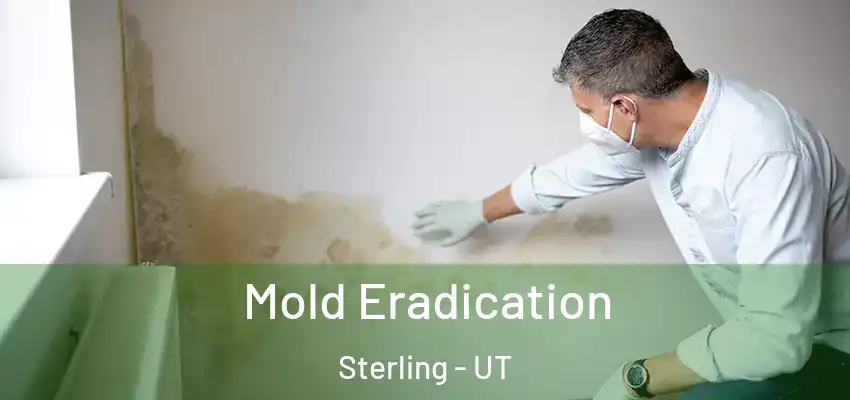  Mold Eradication Sterling - UT