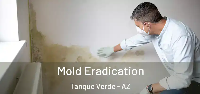 Mold Eradication Tanque Verde - AZ