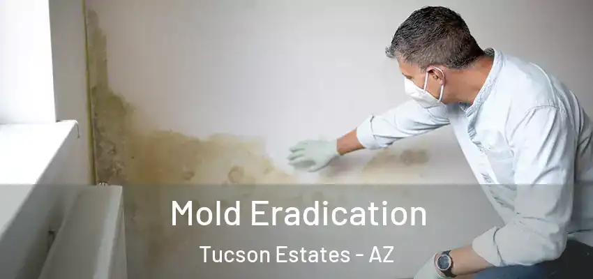 Mold Eradication Tucson Estates - AZ