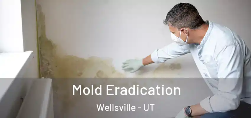  Mold Eradication Wellsville - UT