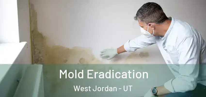 Mold Eradication West Jordan - UT