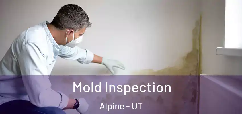  Mold Inspection Alpine - UT