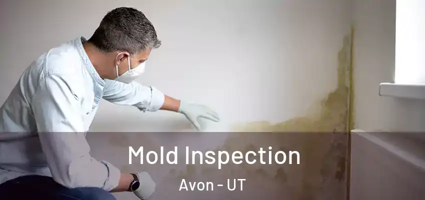  Mold Inspection Avon - UT