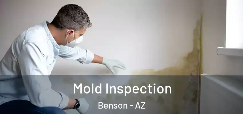 Mold Inspection Benson - AZ