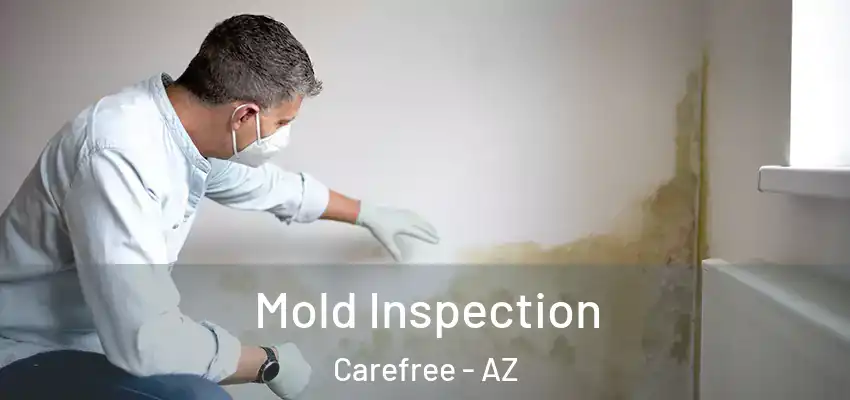  Mold Inspection Carefree - AZ