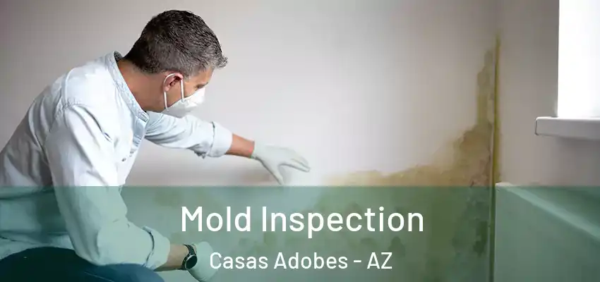  Mold Inspection Casas Adobes - AZ