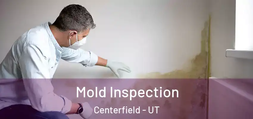  Mold Inspection Centerfield - UT
