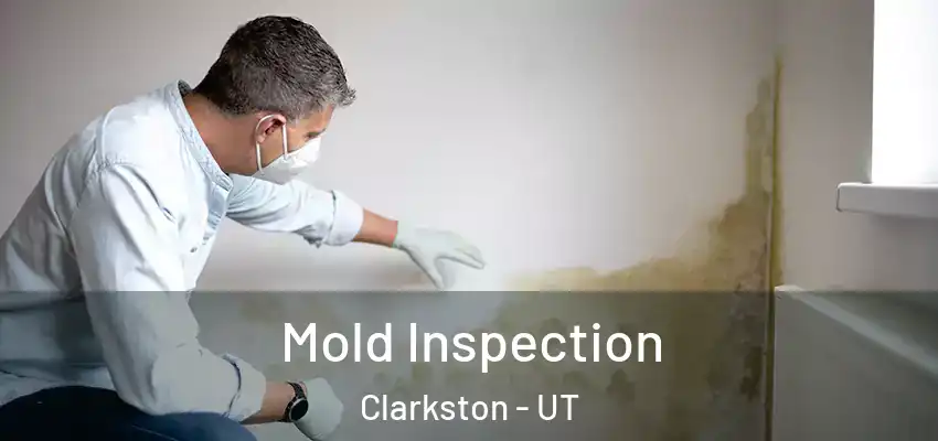  Mold Inspection Clarkston - UT