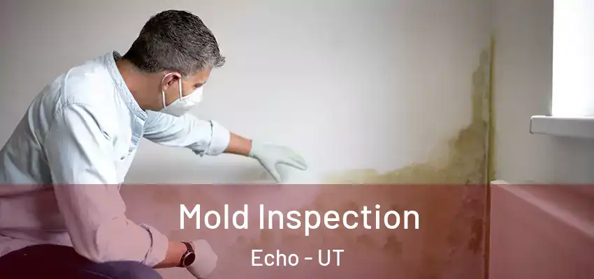  Mold Inspection Echo - UT