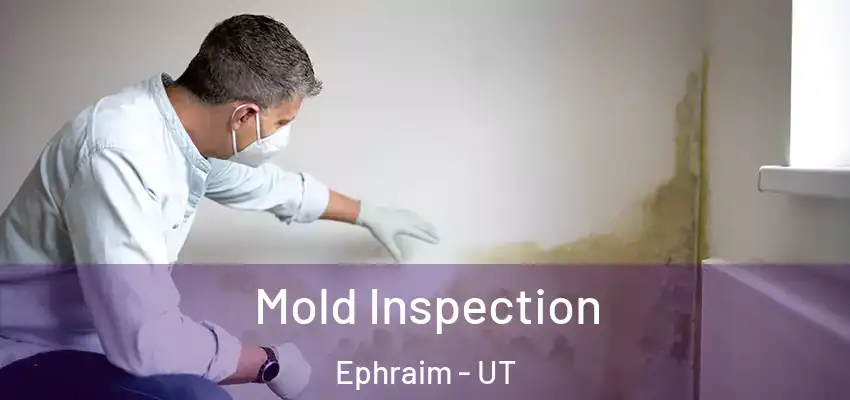  Mold Inspection Ephraim - UT