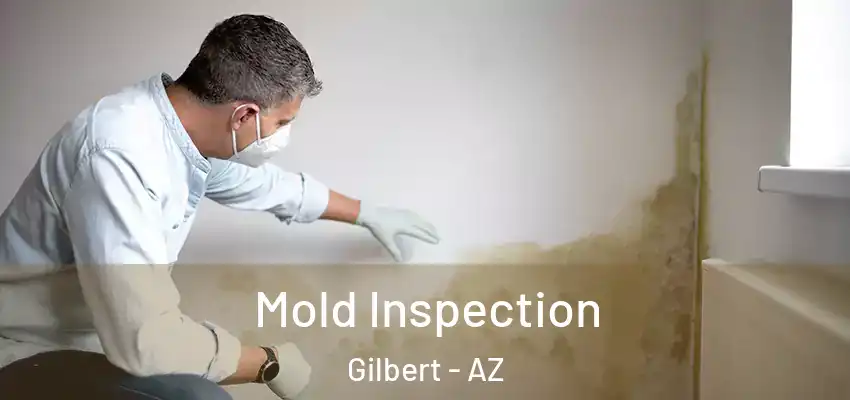 Mold Inspection Gilbert - AZ