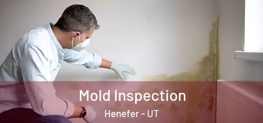 Mold Inspection Henefer - UT