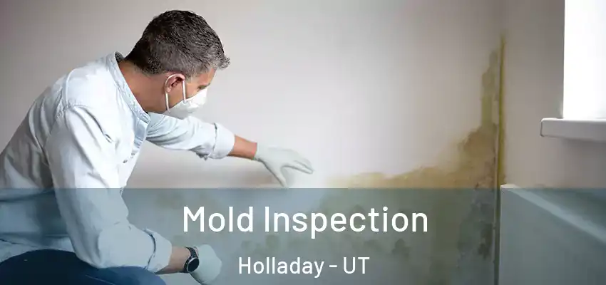  Mold Inspection Holladay - UT