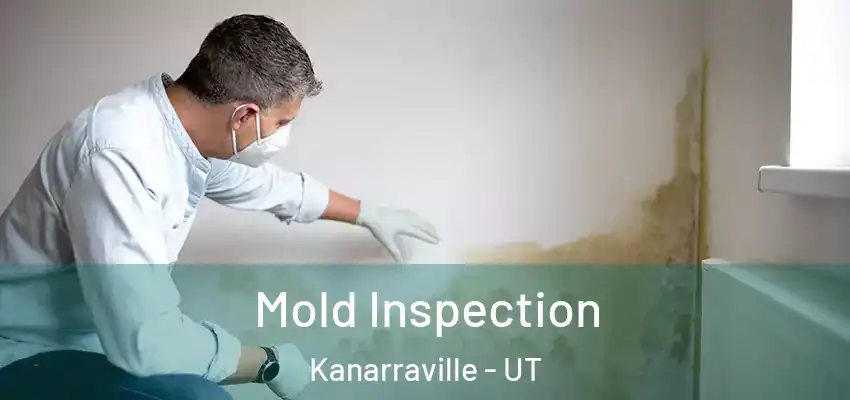  Mold Inspection Kanarraville - UT
