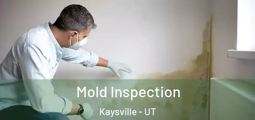  Mold Inspection Kaysville - UT