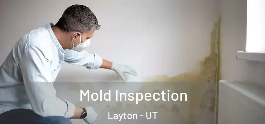  Mold Inspection Layton - UT