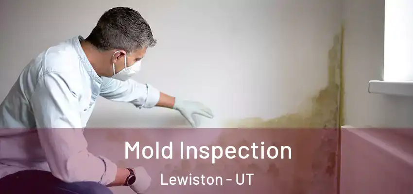  Mold Inspection Lewiston - UT